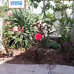 דירה Superior In *